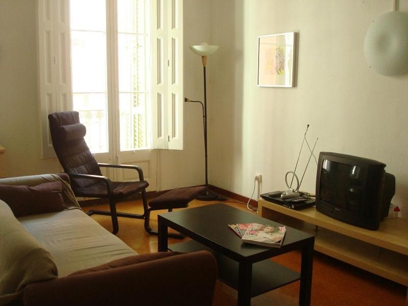Aapartments In Center * Barcelone